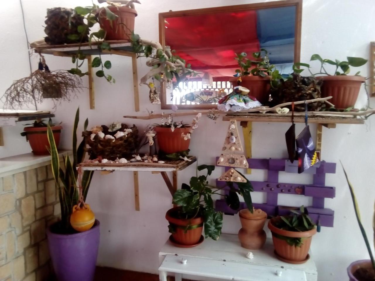 Residence A Paz Sal Rei Dış mekan fotoğraf